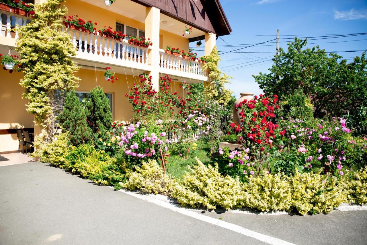 Motel Moara Veche Săcălăşeni Eksteriør bilde